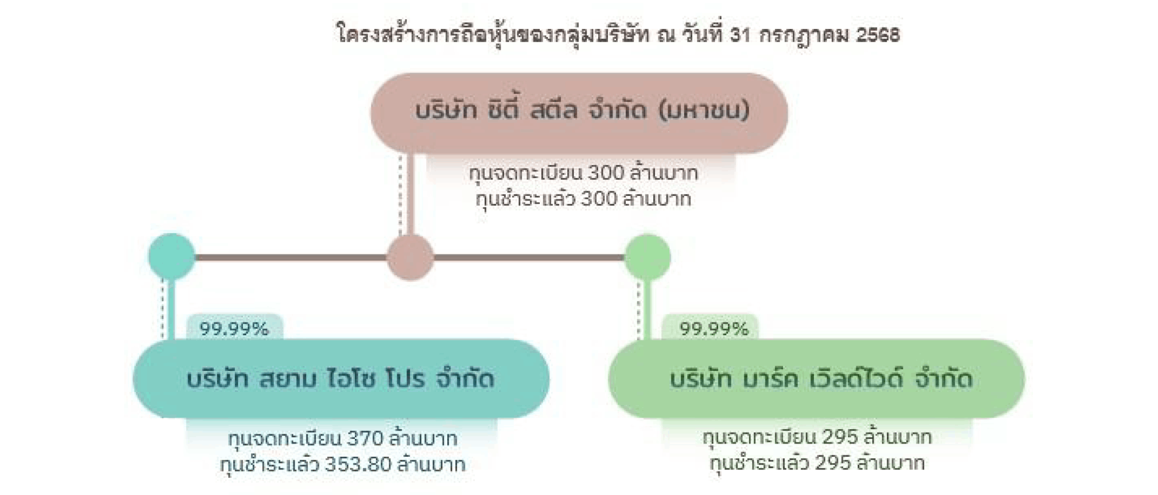shareholders structure th page01